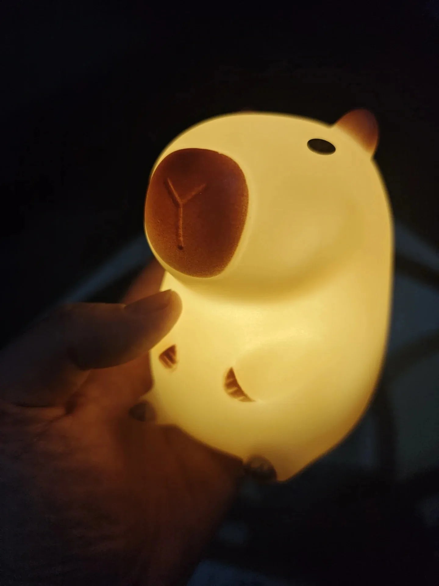 Cute Pet Capybara Night Light