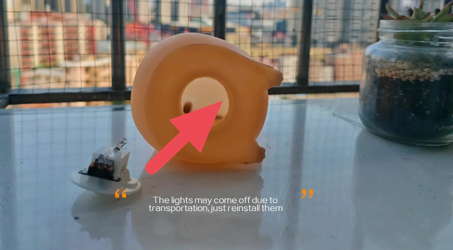 Cute Pet Capybara Night Light